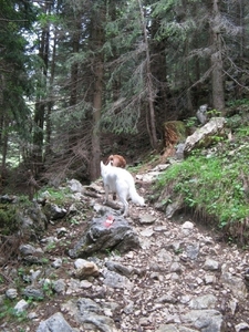 20070523 Kufstein 297 PiramidenSpitze