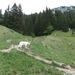 20070523 Kufstein 299 PiramidenSpitze