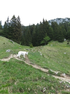 20070523 Kufstein 299 PiramidenSpitze