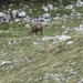 20070523 Kufstein 326 PiramidenSpitze