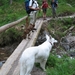 20070523 Kufstein 335 Bettlersteig