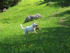 20070523 Kufstein 353 Bettlersteig