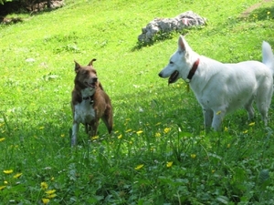 20070523 Kufstein 354 Bettlersteig