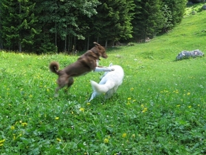 20070523 Kufstein 355 Bettlersteig