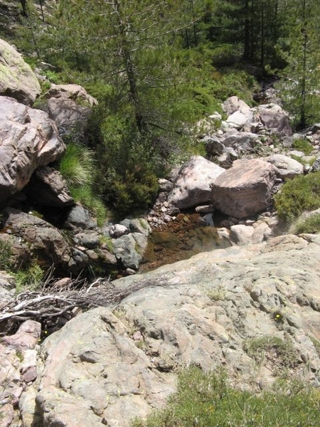 20070620 CorsicaGR20 0711
