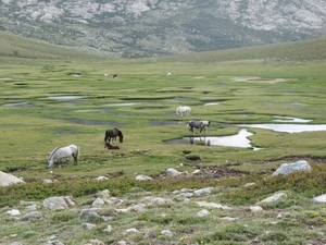 20070621 CorsicaGR20 0816