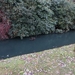 2013-12-08 Belsele 01