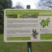 2013-12-08 Belsele 08