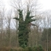 2013-12-08 Belsele 09
