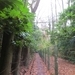 2013-12-08 Belsele 14