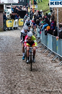 Druivencross 2013-1206