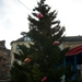 51-Kerstboom op stationplein Geraardsbergen