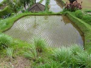 P1020006