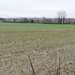 2013-12-15 Sint-Pieters-Kapelle 003
