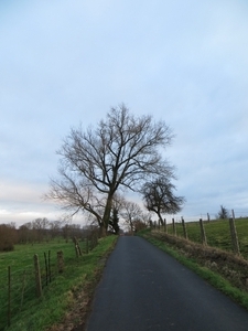 2013-12-15 Sint-Pieters-Kapelle 006