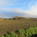 2013-12-15 Sint-Pieters-Kapelle 010