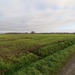 2013-12-15 Sint-Pieters-Kapelle 011