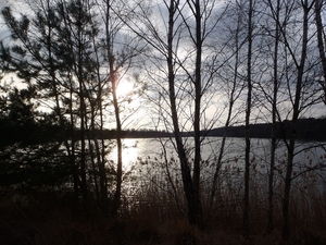 GR50+ Mol 181213 027