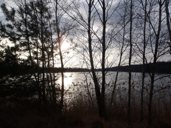 GR50+ Mol 181213 027