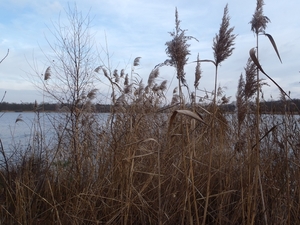 GR50+ Mol 181213 030