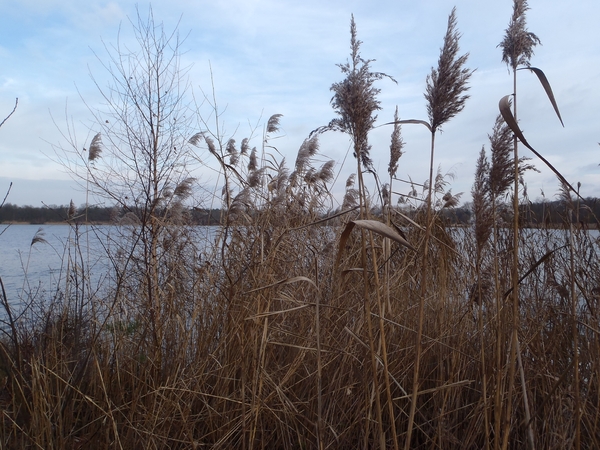 GR50+ Mol 181213 030