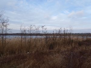 GR50+ Mol 181213 031