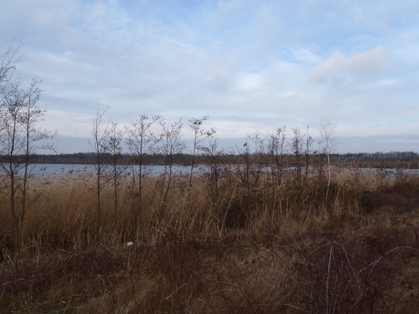 GR50+ Mol 181213 031