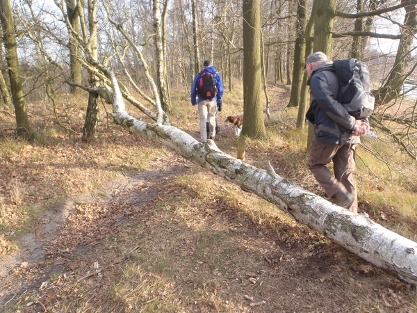 GR50+ Mol 181213 036