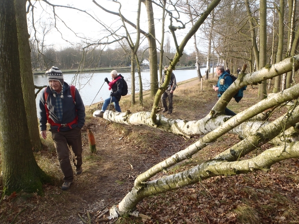 GR50+ Mol 181213 037