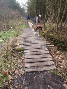 GR50+ Mol 181213 040