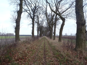 GR50+ Mol 181213 047