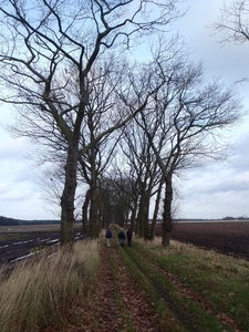 GR50+ Mol 181213 049