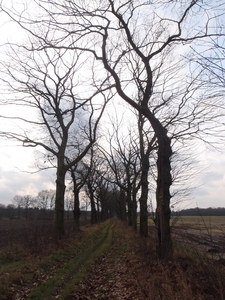 GR50+ Mol 181213 050