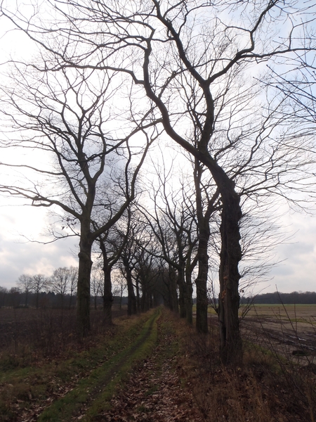 GR50+ Mol 181213 050