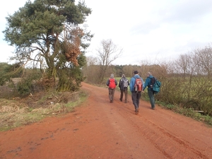 GR50+ Mol 181213 051