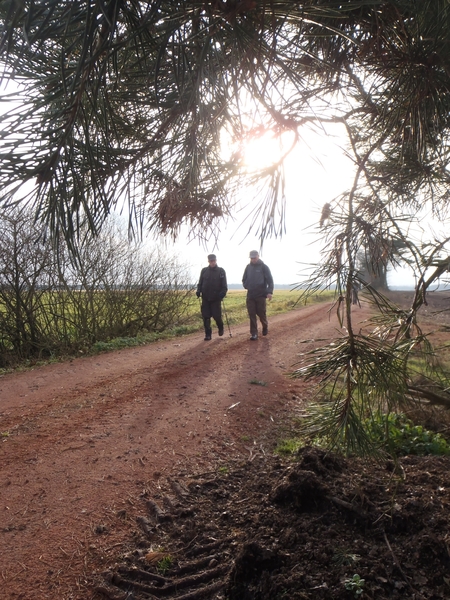 GR50+ Mol 181213 053