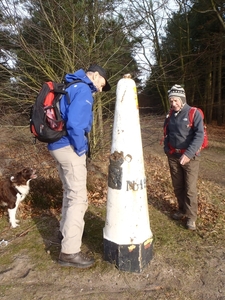 GR50+ Mol 181213 056