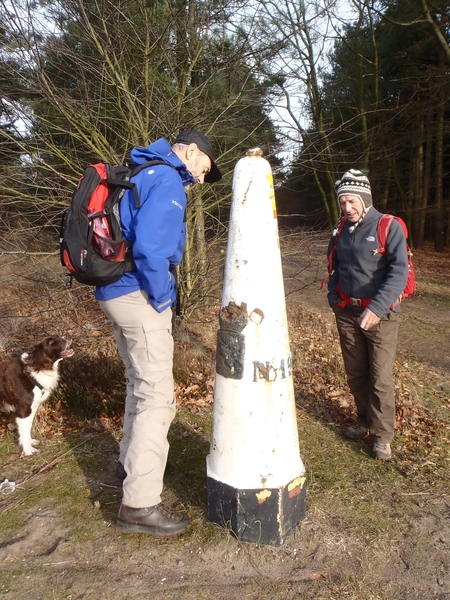 GR50+ Mol 181213 056