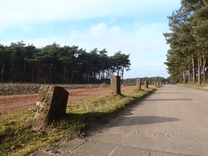 GR50+ Mol 181213 061