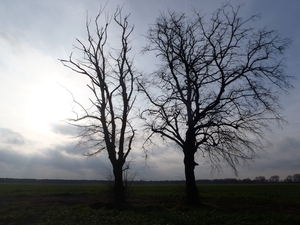 GR50+ Mol 181213 064