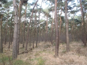 GR50+ Mol 181213 073