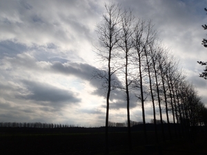 GR50+ Mol 181213 078