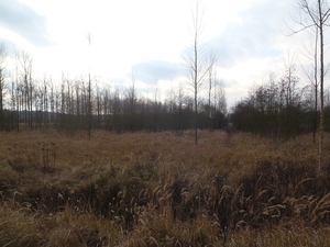 GR50+ Mol 181213 081