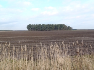 GR50+ Mol 181213 082