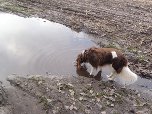 GR50+ Mol 181213 089