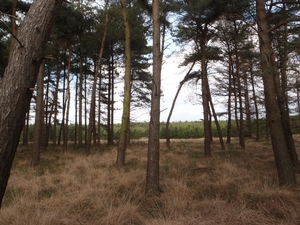 GR50+ Mol 181213 091