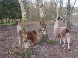 GR50+ Mol 181213 092