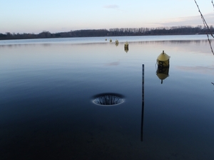 GR50+ Mol 181213 108