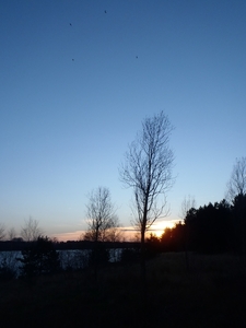 GR50+ Mol 181213 109