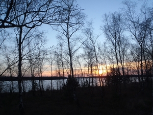 GR50+ Mol 181213 118